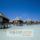 나우메드 이미지