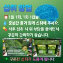 현대메디칼약국 이미지