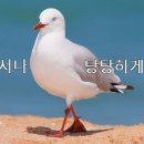 빌리프짐 상동 이미지