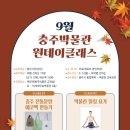 충주박물관 이미지