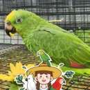 북로농장 이미지