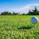 홀컵골프아카데미 이미지