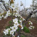 배승호농장 이미지