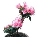 3·15 공인중개사사무소 이미지