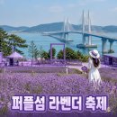 신안천사병원 티스토리