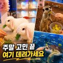 아쿠아커피연구소 | 대구 아쿠아밸리 대구 아이랑 2시간 순삭이었던 실내 놀거리