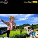 참새 허수아비 네이버블로그