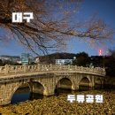 성당인라인스케이트장 | 대구 가볼만한곳 두류공원 야경과 산책, 인라인스케이트