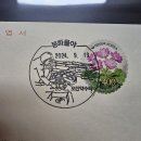 물야우체국 이미지