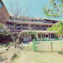 가평 숲속의 계곡 펜션 이미지