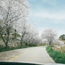 조은주유소 이미지