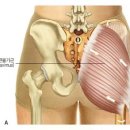 다나께바른몸바른자세