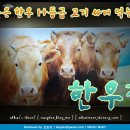 서울VIP요양병원 이미지