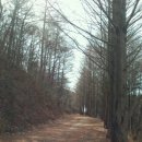 이현동4 이미지