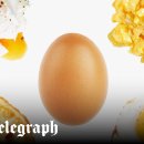 Muscle96 GYM 이미지