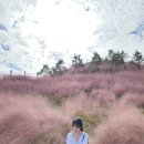 순창 고추장익는 마을 | 순창 떡볶이 페스타 다녀온 후기 순창고추장마을 핑크뮬리정원 순창 발효테마파크