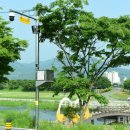 장성근린공원 이미지