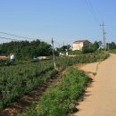 줄포2주유소 이미지