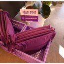 수디 이미지