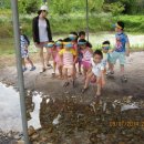 연산병설유치원 이미지