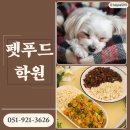 썬아카데미학원 | 부산펫푸드학원 자격증 취득으로 반려동물 간식 만들기