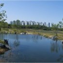 연희자연마당 공원 이미지