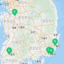 부산고양이분양제나캣 사상점 이미지