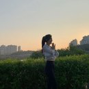 김하늘 카카오 검색결과