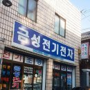 금성전자전기