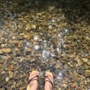 용오름캠핑장 이미지