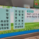 몸사랑안마센터 이미지