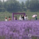 무릉계곡관광안내소 이미지