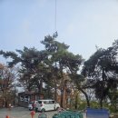 보적사 | [오산크레인]오산시 지곶동 보적사 비탈면 흙마대 운반 작업, 신갈크레인 13톤으로 안전하게 끝냈어요 🙌