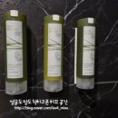 보다스테이 더펜트 이미지