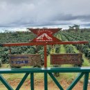 성진농장 2 이미지