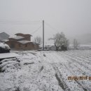 진악산농장 이미지