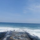 당일치기 여행 - 낙산 해돋이 / 동화가든 / 대관령 양떼목장 / 도깨비촬영지 / 주문진 좌판 풍물시장