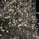 거두상회 이미지