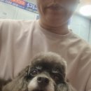 오늘THE이쁘개 이미지