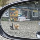 위봉사&위봉폭포&위봉산성 이미지