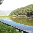 한일낚시터 이미지