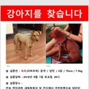 버스승강장 앞 이미지