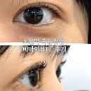 오렌즈노원점 | 노원역 속눈썹펌 잘하는 곳 비마인뷰티 솔직 추천후기