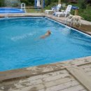 낙원펜션 이미지