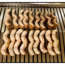 일루장어 이미지