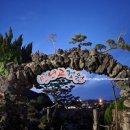 조은집애 한우 이미지