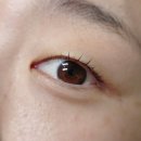 노 나 | 신도림 속눈썹펌 맛집 모덴스 뷰티랩 후기 (무쌍도 티 나는 노글루 영양펌)