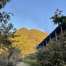 산골초가펜션 이미지