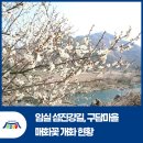 덕치면 천담2길 전북 네이버블로그