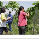 윤성농장 이미지